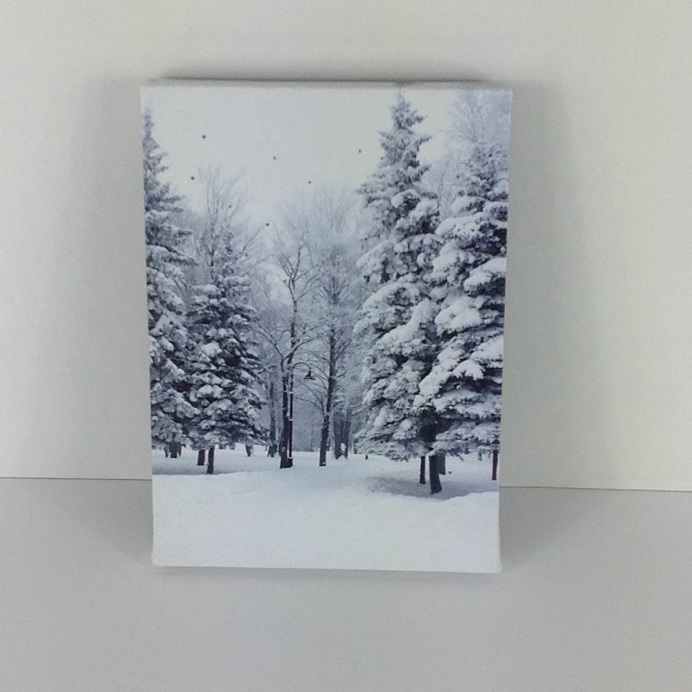 Holiday LED Canvas - Picture 2 of 3